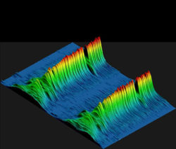 Figure 11. Stacked X-ray diffraction peaks from pith (left) to bark (right) showing a band of compression wood towards the bark